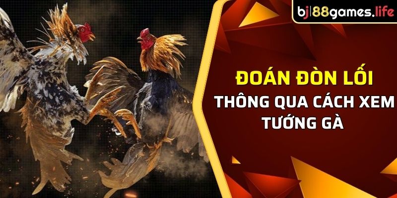 Cách Xem Tướng Gà Chọi Để Đoán Đòn Lối Cự Cực Chuẩn 2026 1 Đoán đòn lối chuẩn thông qua cách xem tướng gà chọi