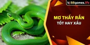 lời giải mã giấc mơ thấy rắn trên