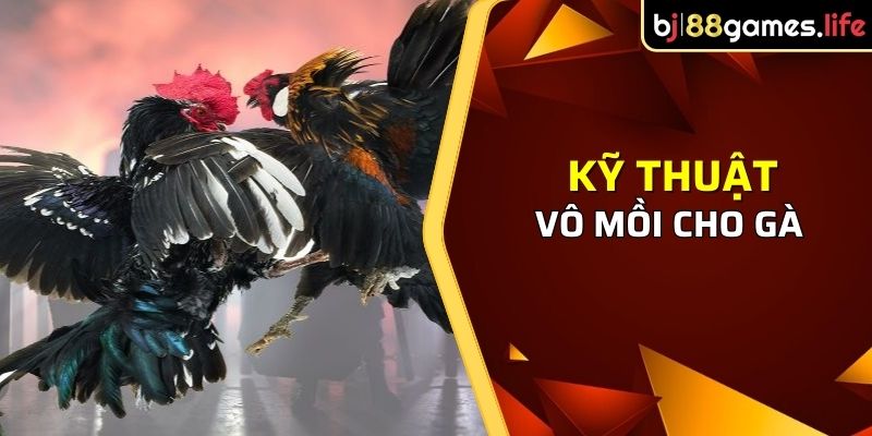 Cách vô mồi cho gà chuẩn là một bước đệm