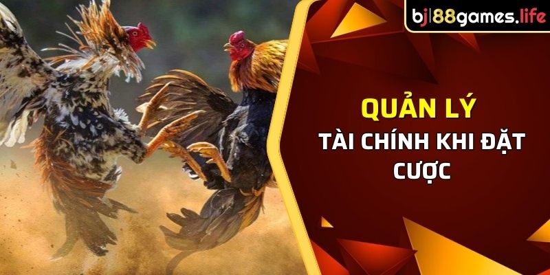 Sảnh WS168 Tại BJ88 - Hướng Dẫn Chinh Phục Sảnh Đá Gà 2026 4 Quản lý tài chính khi đặt cược